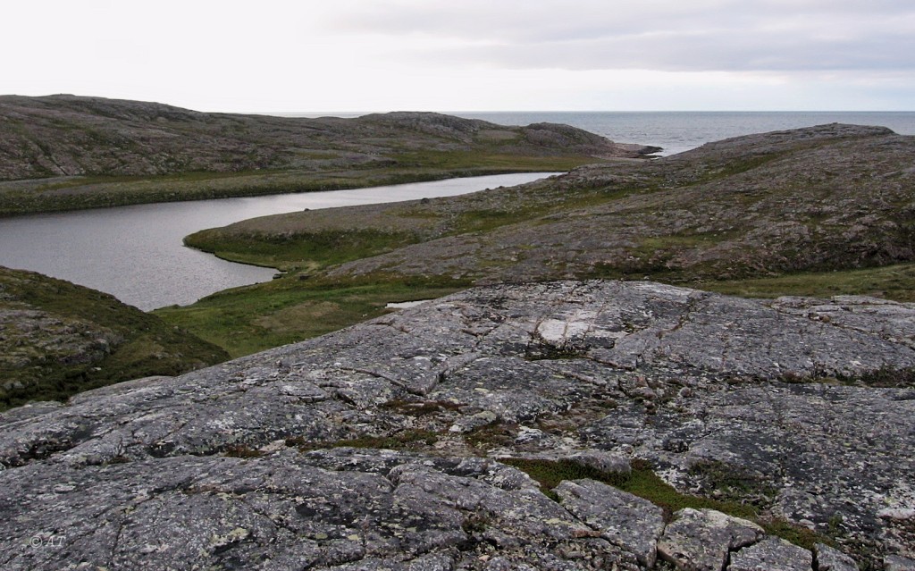 Губа Широкая, image of landscape/habitat.