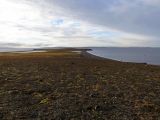 Landscape image