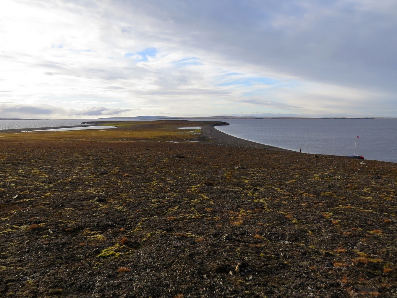 Остров Сиверсия, image of landscape/habitat.