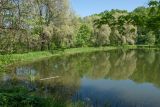 Гостилицы, image of landscape/habitat.