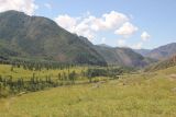 Image of landscape