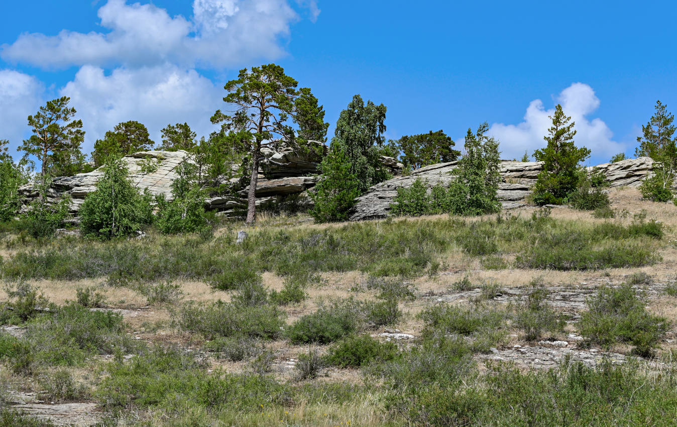 Карагай-Губерлинское ущелье, image of landscape/habitat.