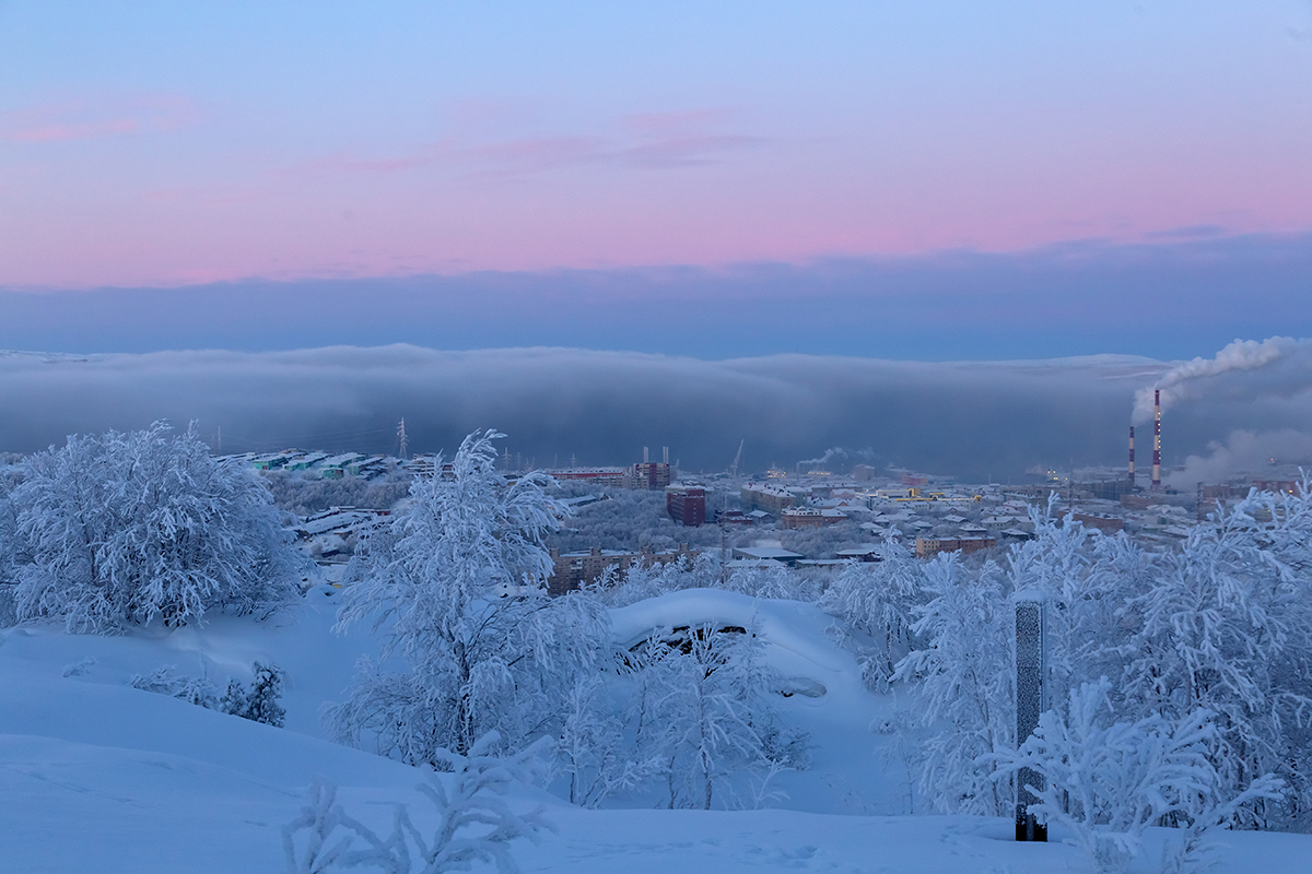Горелая сопка, image of landscape/habitat.