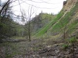 Image of landscape