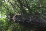 Среднее течение реки Усожа, image of landscape/habitat.