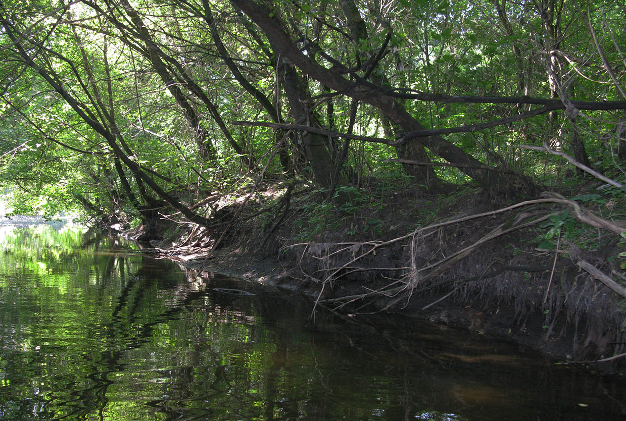 Среднее течение реки Усожа, image of landscape/habitat.