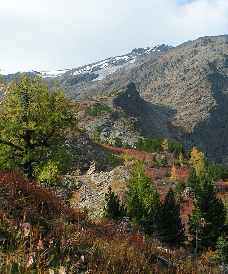 Гора Красная, image of landscape/habitat.