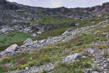 Image of landscape
