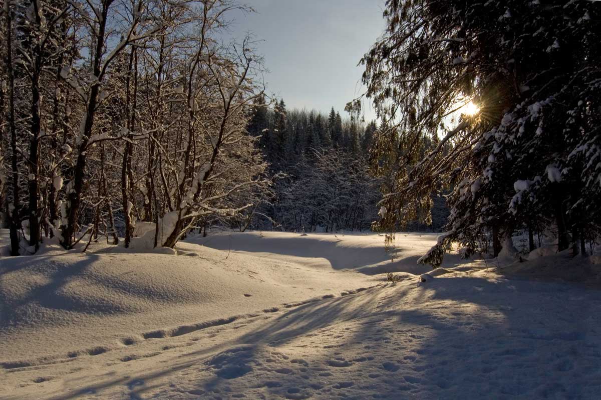 Северный Юг, image of landscape/habitat.