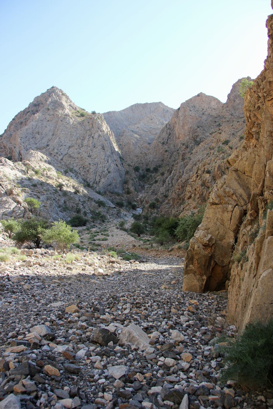 Горы Бахильтау, image of landscape/habitat.