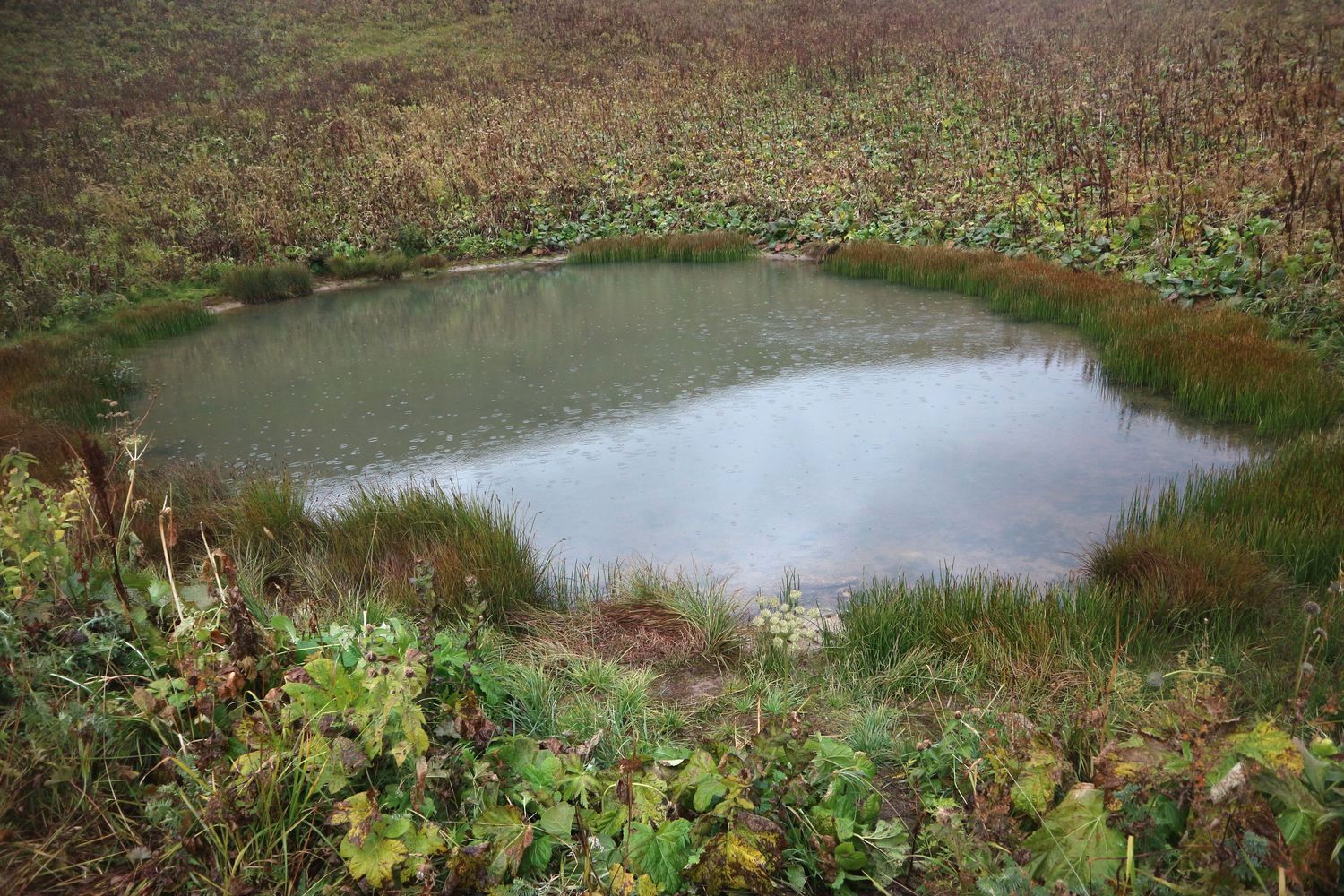 Инструкторское Окно, image of landscape/habitat.