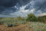 Image of landscape