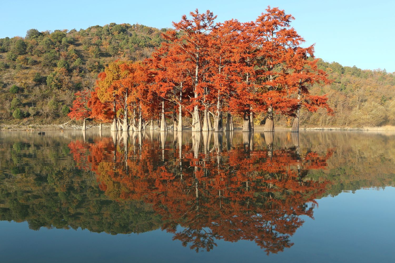 Окрестности Сукко, image of landscape/habitat.