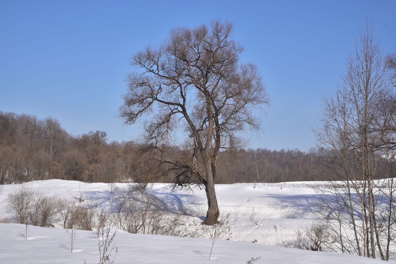 Окрестности устья ручья Исьма, image of landscape/habitat.