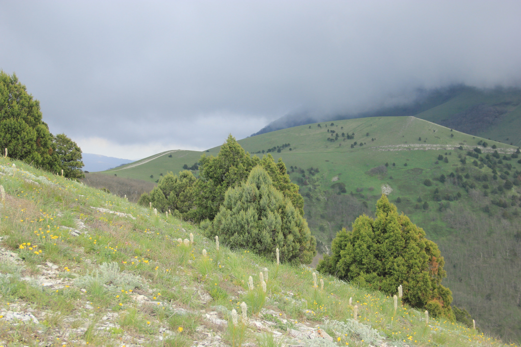 Отроги горы Совхозная, image of landscape/habitat.