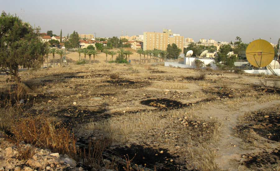 Пустырь в Беэр-Шеве, image of landscape/habitat.