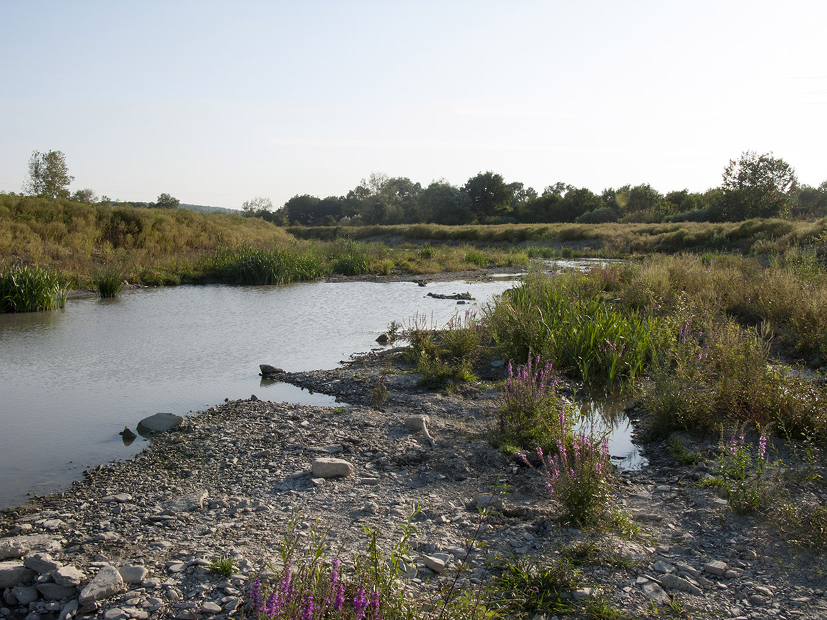 Адагум, image of landscape/habitat.