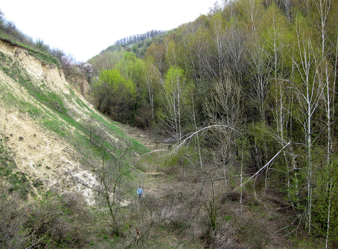 Трахтемиров, изображение ландшафта.