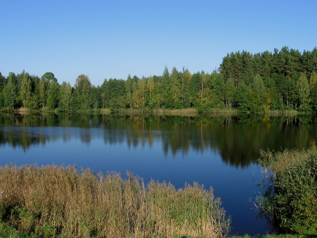 Отцеда, image of landscape/habitat.