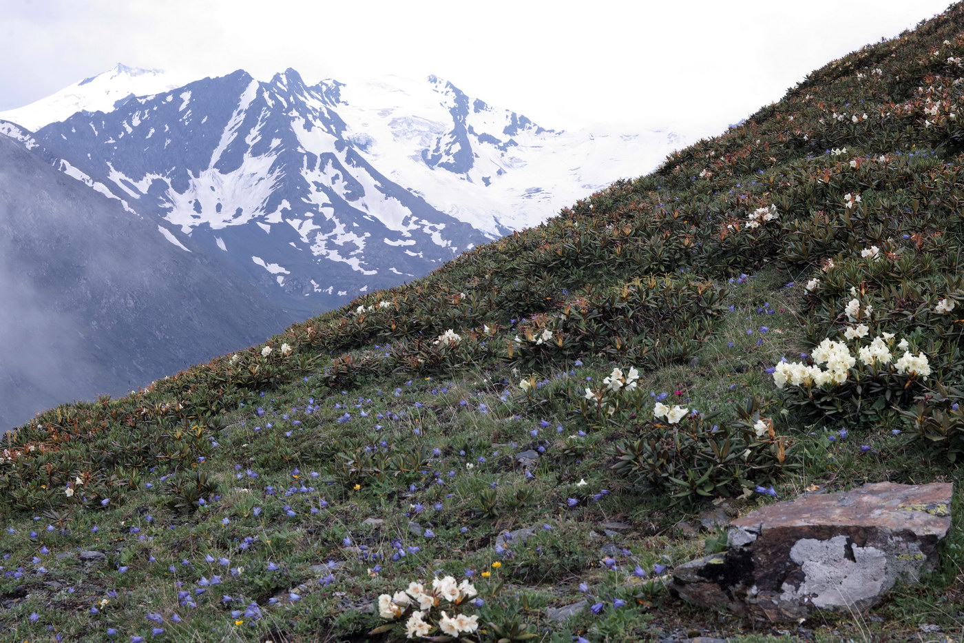 Агаштан, image of landscape/habitat.