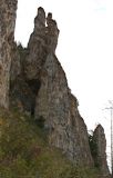 Image of landscape