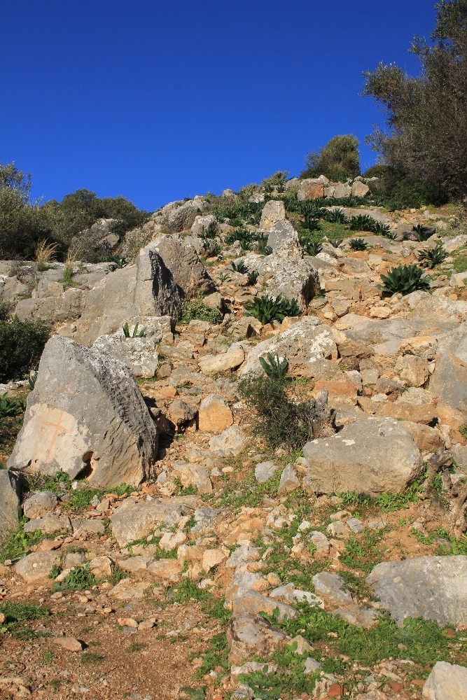 Эвбея, image of landscape/habitat.