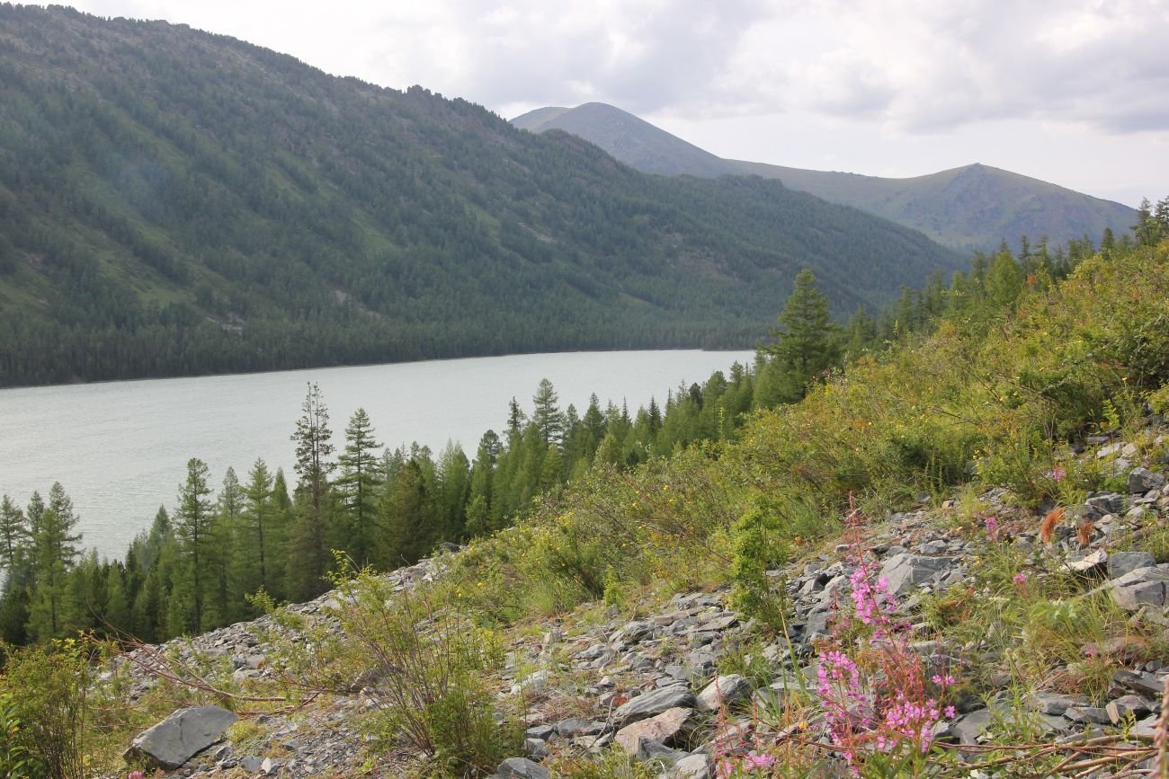 Среднее Мультинское озеро, image of landscape/habitat.