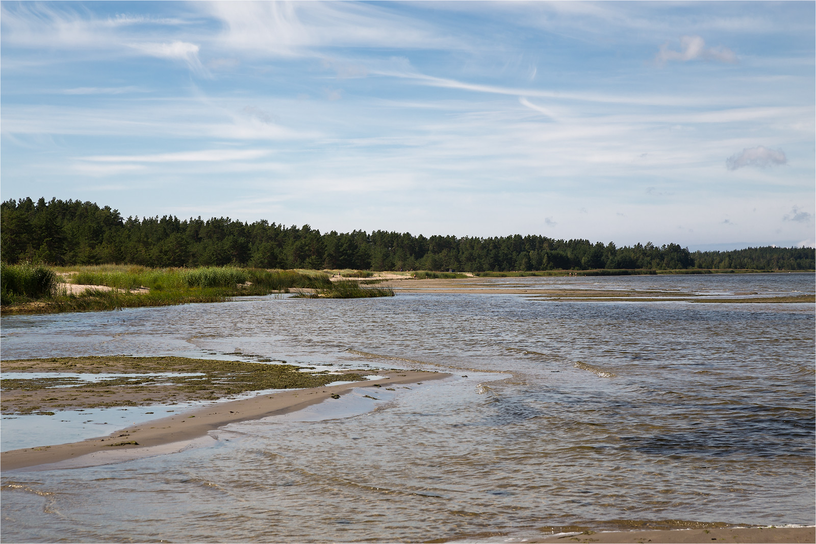 Окрестности деревни Выбье, image of landscape/habitat.