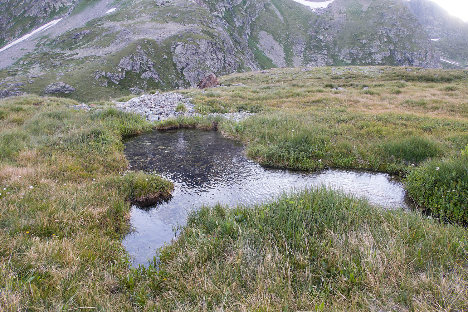 Ривьера, image of landscape/habitat.