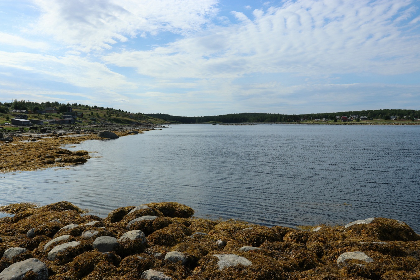 Ковда, image of landscape/habitat.