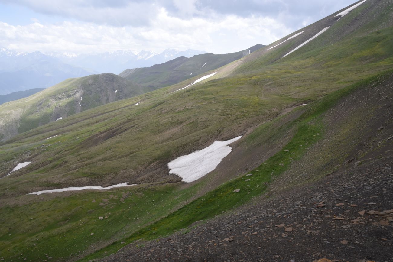 1 км от вершины горы Заинкорт, image of landscape/habitat.