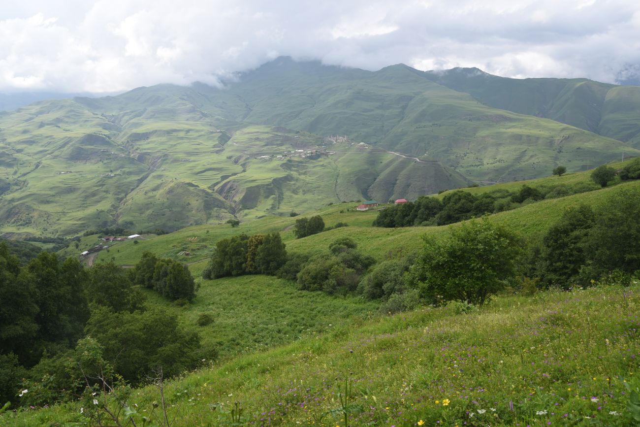 Хакмадой, image of landscape/habitat.