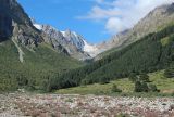 Альплагерь "Чегем", image of landscape/habitat.