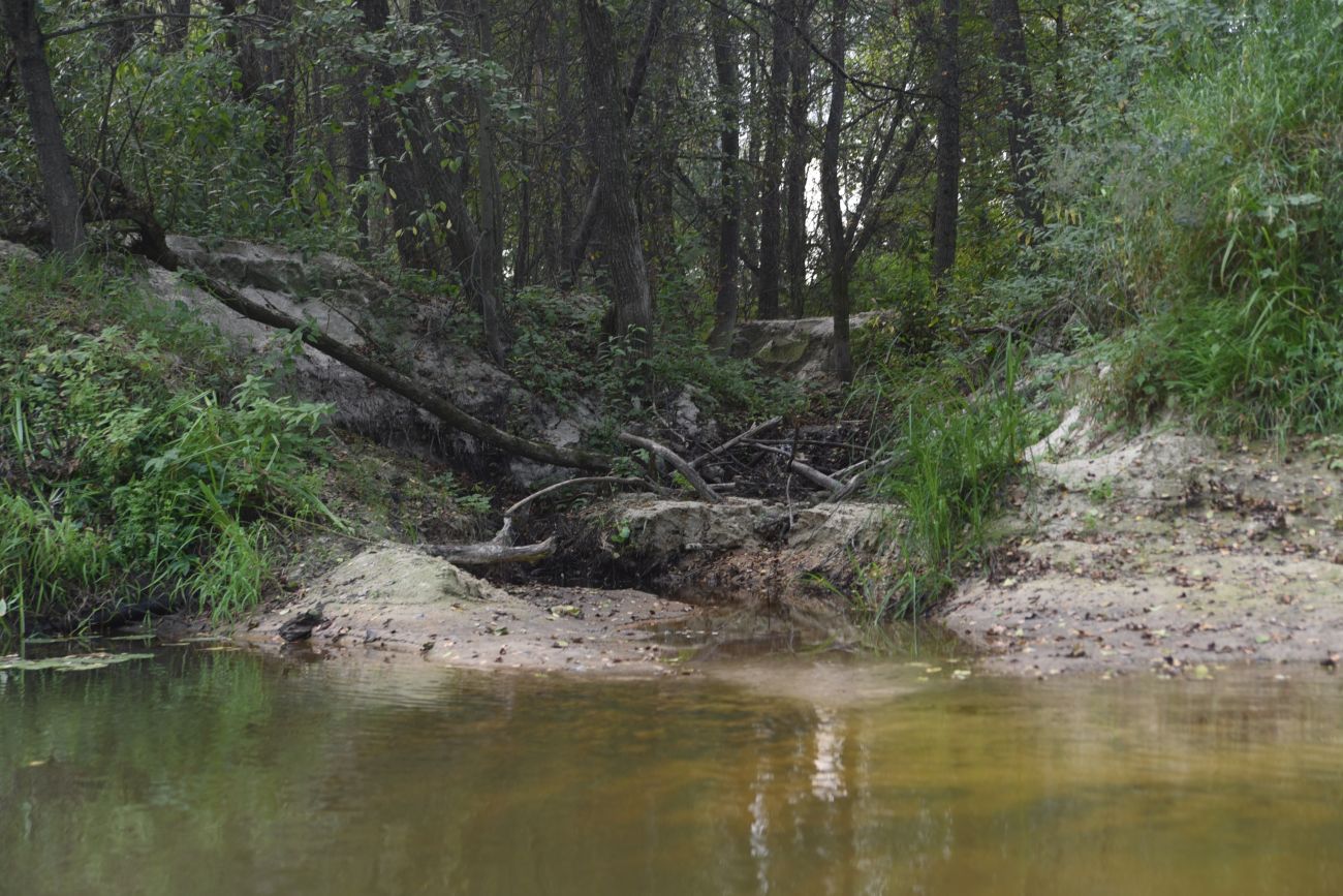 Вытебеть (Калужская обл. август – сентябрь 2024)