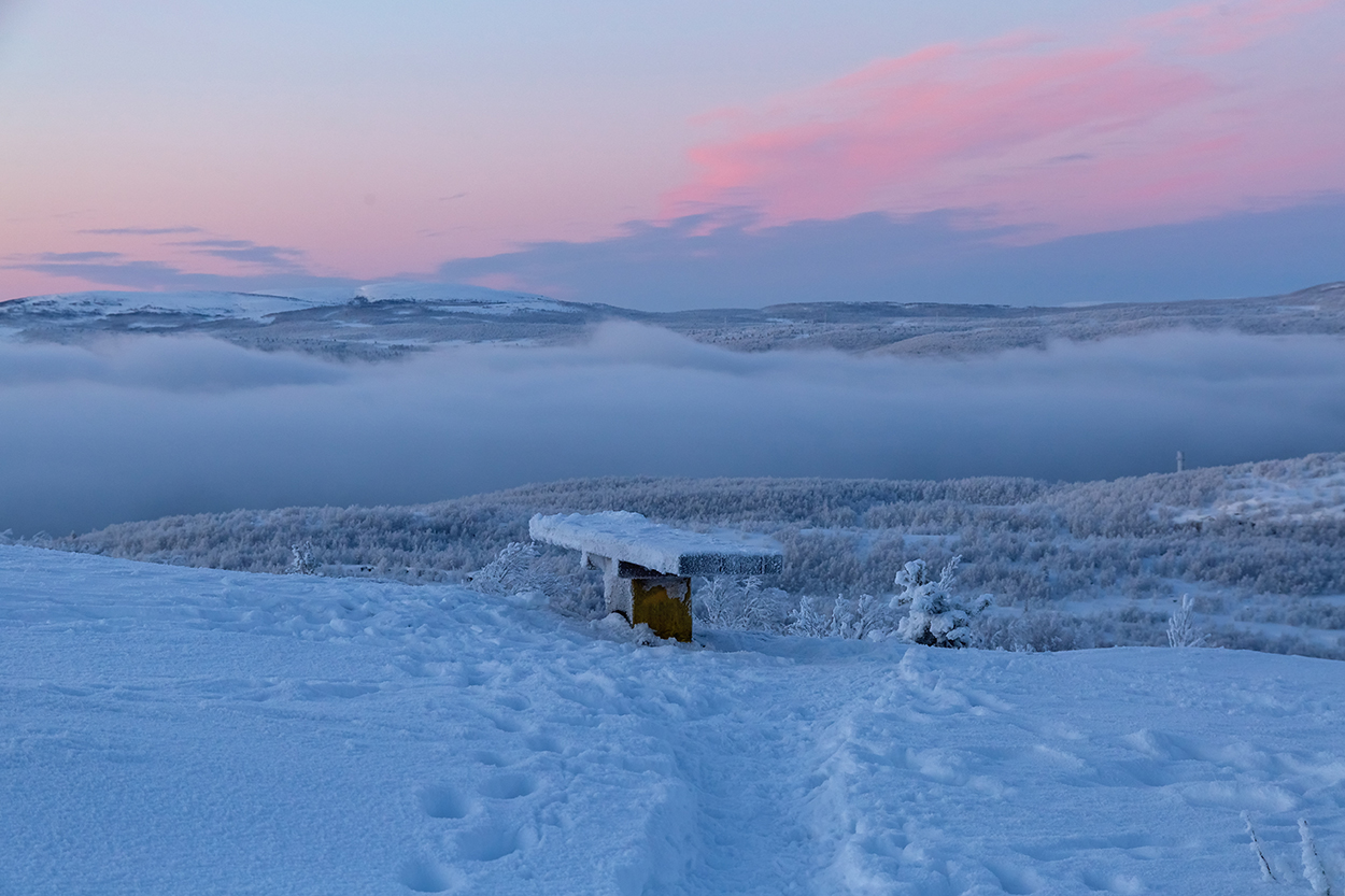 Горелая сопка, image of landscape/habitat.