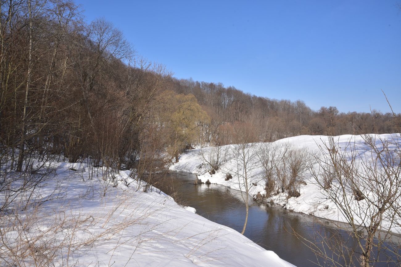 Окрестности устья ручья Исьма, image of landscape/habitat.