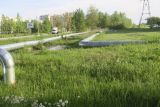 Электрогорск и его окрестности, image of landscape/habitat.