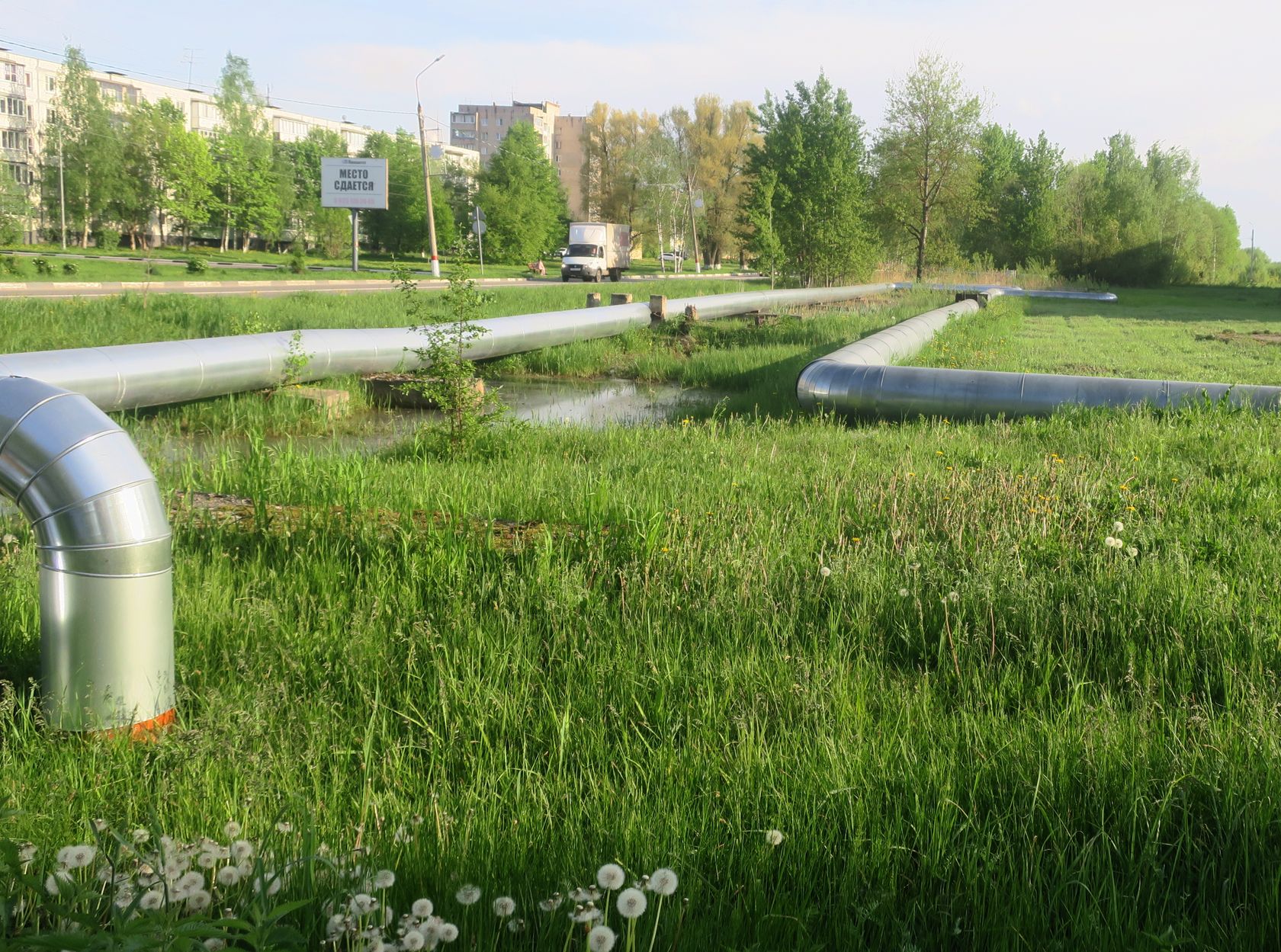 Электрогорск и его окрестности, image of landscape/habitat.