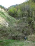 Image of landscape