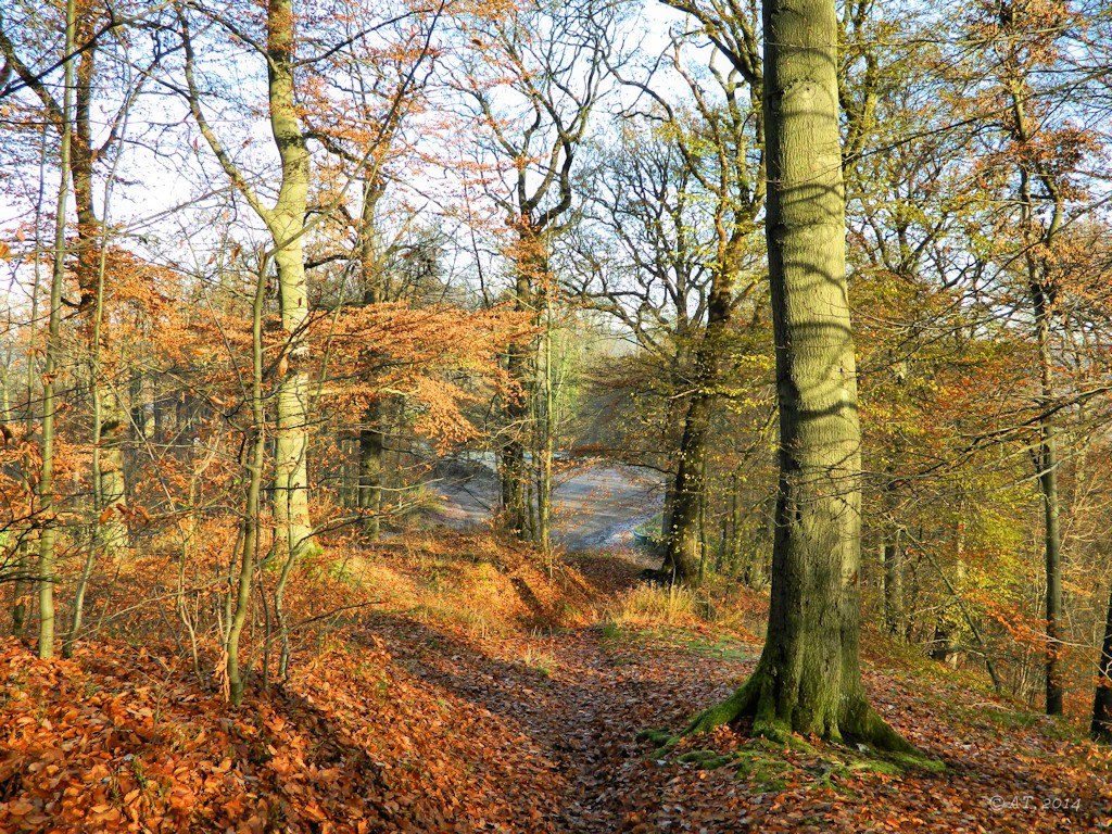 Хоенлимбург, image of landscape/habitat.