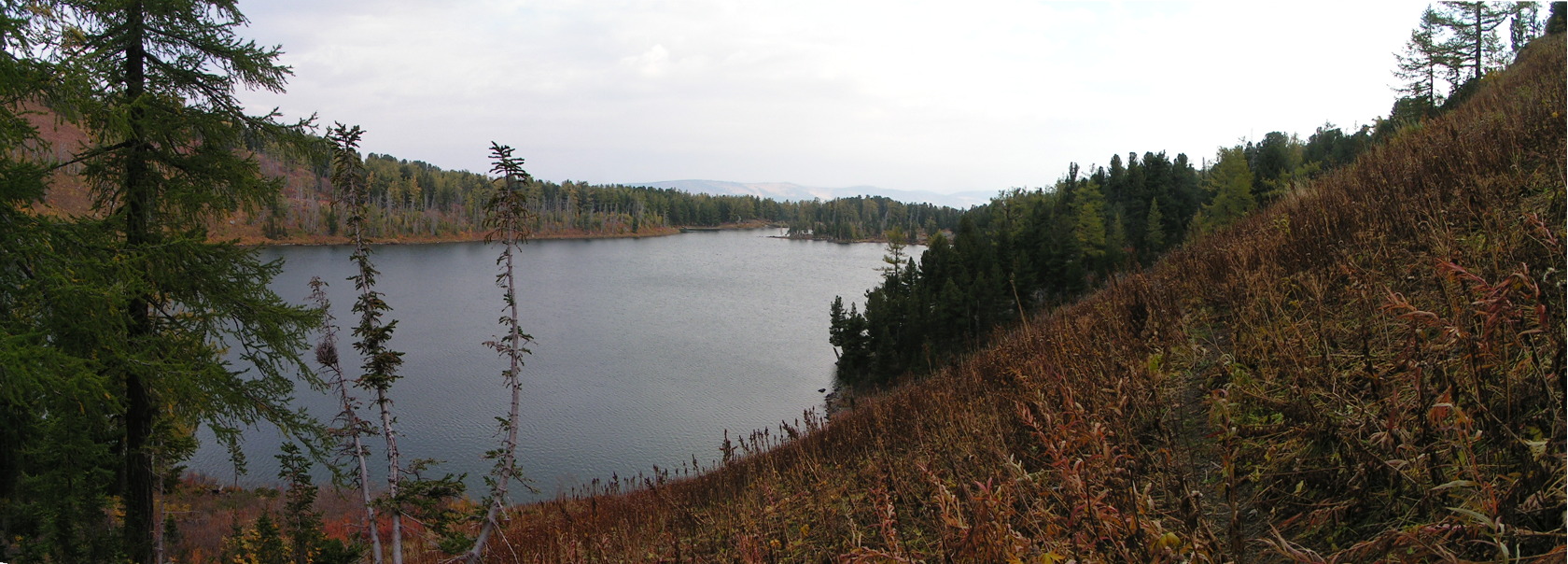 Гора Красная, image of landscape/habitat.