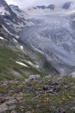 Image of landscape