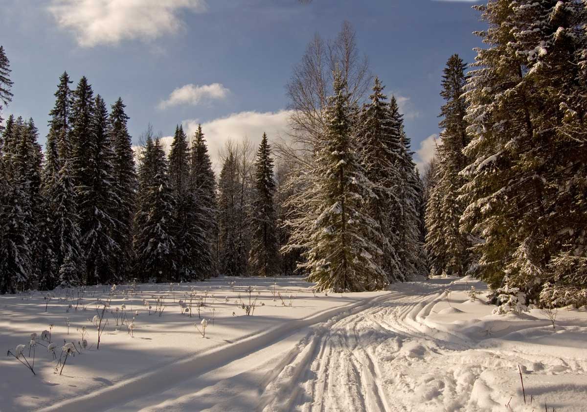 Северный Юг, image of landscape/habitat.