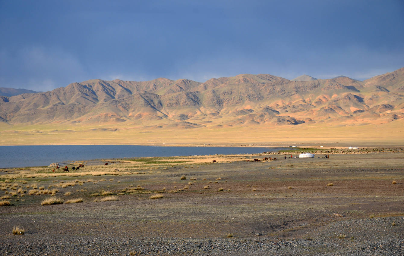 Озеро Уурэг-Нуур, image of landscape/habitat.