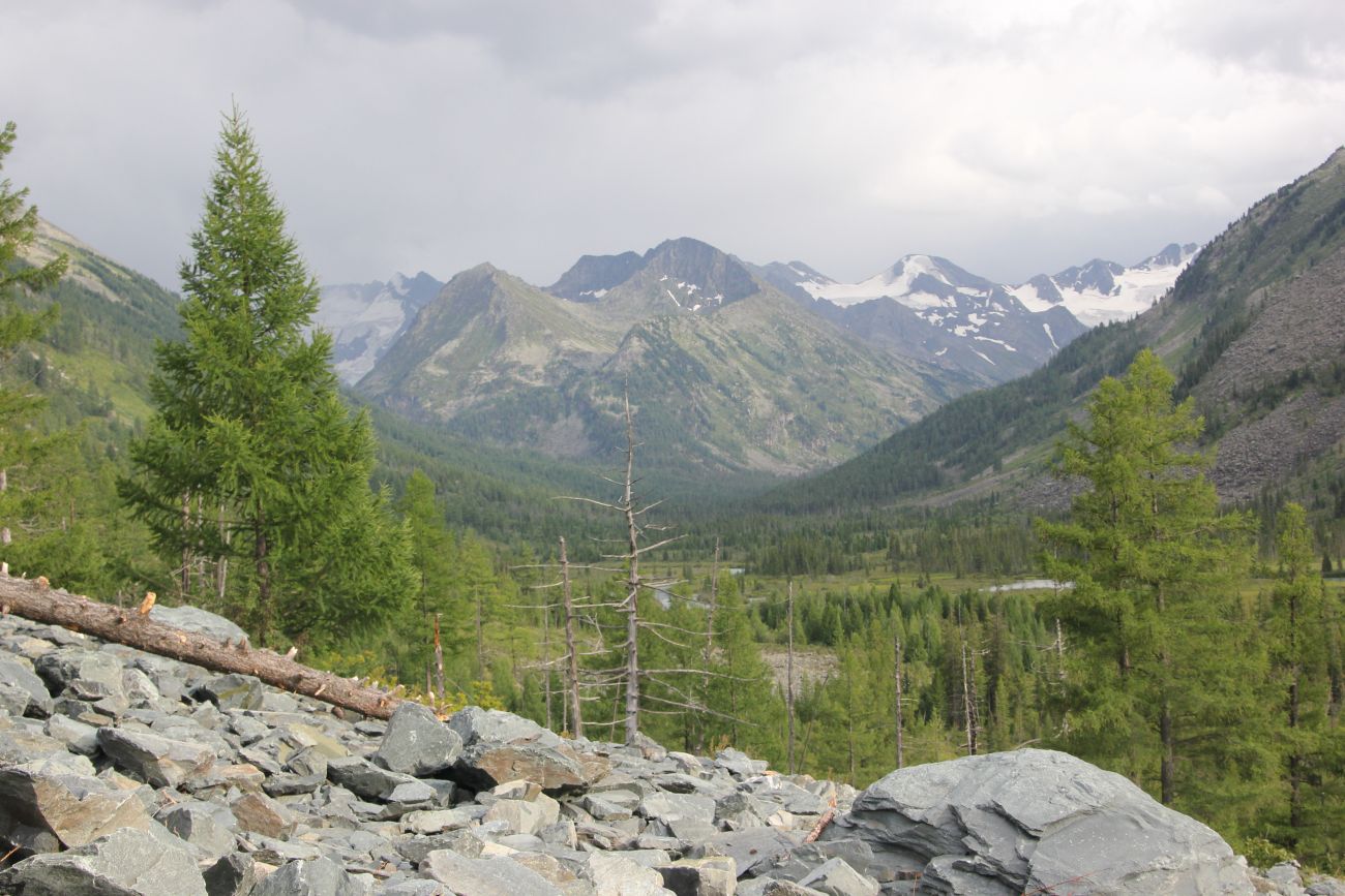 Среднее Мультинское озеро, image of landscape/habitat.