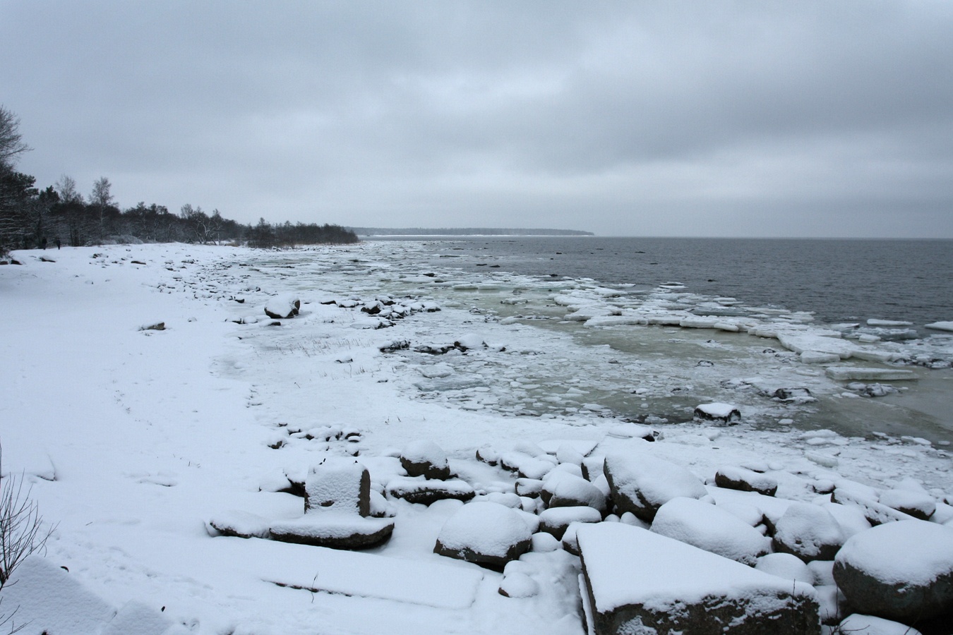 Шепелёвский маяк, image of landscape/habitat.