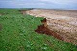 Побережье озера Маныч-Гудило, image of landscape/habitat.