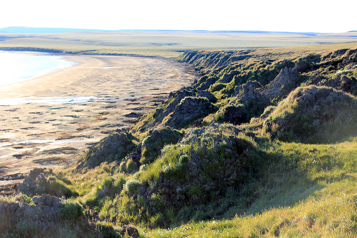 Озеро Таймыр мыс Саблера, image of landscape/habitat.