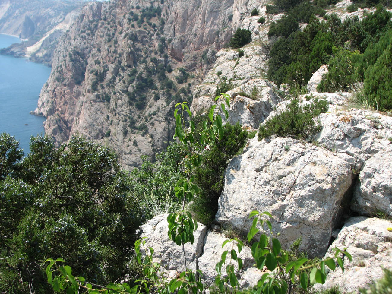 Караньское плато, image of landscape/habitat.