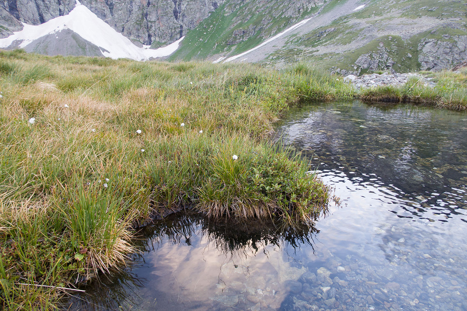 Ривьера, image of landscape/habitat.